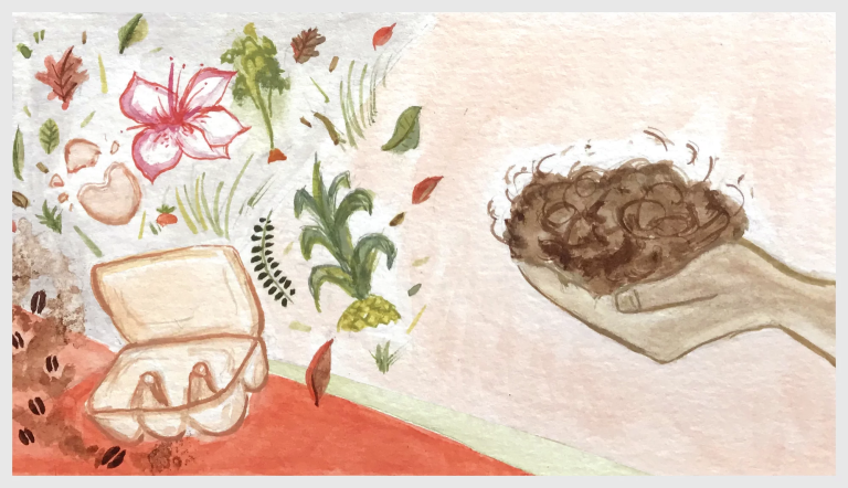 Composting in 5 Easy Steps
