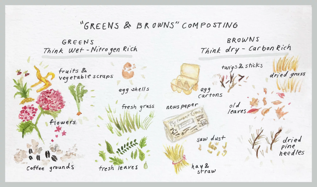 Greens and browns composting