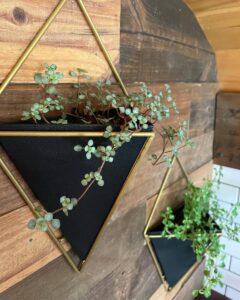 Planters in custom skoolie conversion