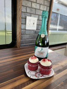 Finished skoolie bus conversion celebration